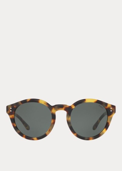 Women's Polo Ralph Lauren Heritage Sunglasses | 143765WER